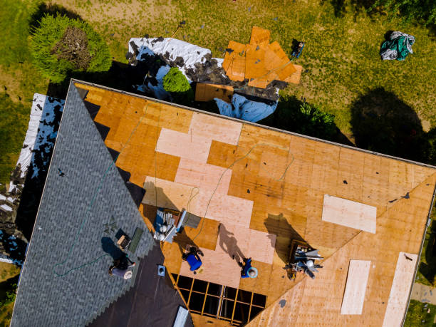 Quick and Trustworthy Emergency Roof Repair Services in Laurel, MS