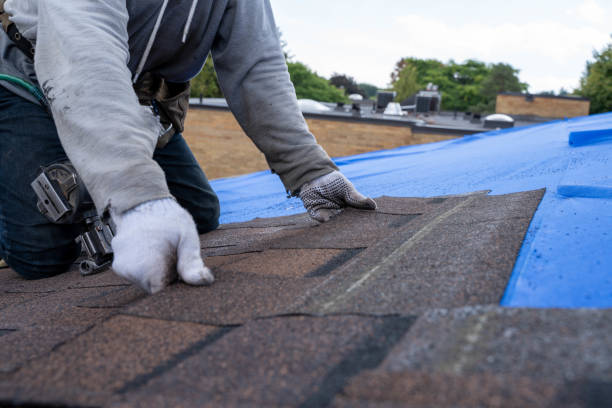 Best Gutter Installation and Roofing  in Laurel, MS