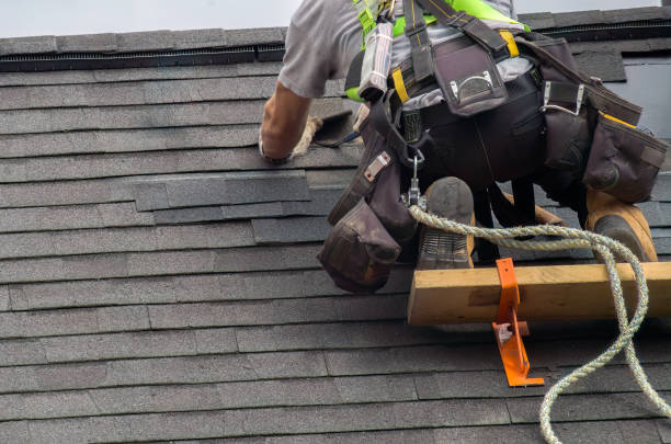 Best Storm Damage Roof Repair  in Laurel, MS