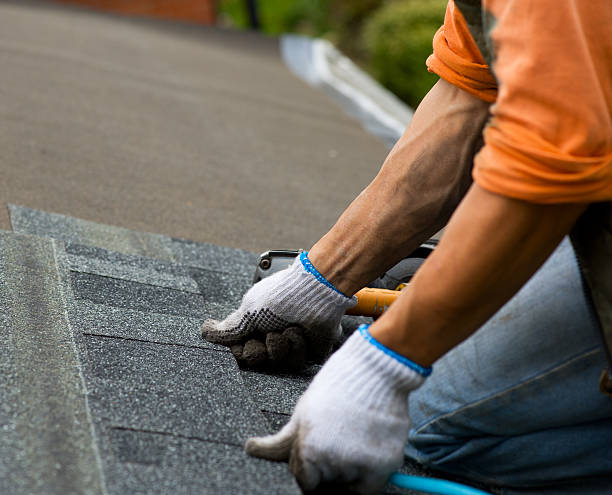 Best Roof Maintenance Services  in Laurel, MS