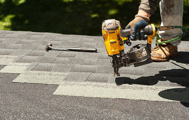 Best Roof Gutter Cleaning  in Laurel, MS