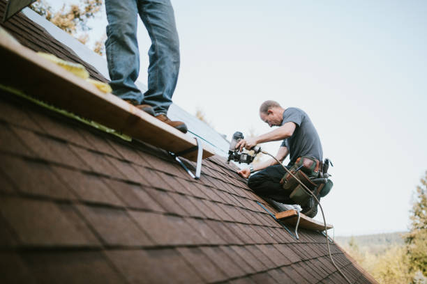 Best Metal Roofing Contractor  in Laurel, MS